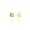 Pendientes SWEDEN